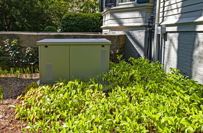 Residential Generator in a Garden